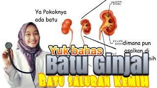 Urolithiasis Nefrolithiasis ureterolithiasis vesicolithiasis batu saluran kemih UKMPPD Urologi [upl. by Vetter116]