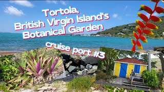 Cruise Port Tortola British Virgin Islands Botanical Garden [upl. by Tennies899]