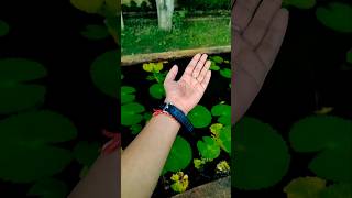 Hand gesture 😍 shorts song video viralvideo trending [upl. by Schouten]