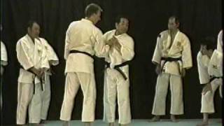 少林寺拳法 shorinji kempo 柔法 森道基 三角技法 巻落2 [upl. by Otreblada279]