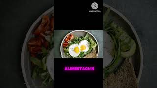 Como elaborar un plan alimenticio saludable [upl. by Lucia]