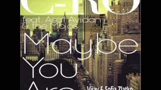 Asaf Avidan  Maybe You Are Vijay amp Sofia Zlatko Remix [upl. by Nahtnaoj822]