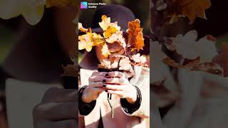 AI Photo Colorizer  Enhance Photo Quality [upl. by Aidnic881]