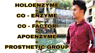 HOLOENZYME APOENZYMECO  FACTORCO ENZYME  PROSTHETIC GROUP [upl. by Hall387]