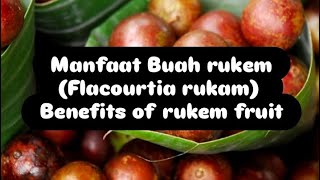 Manfaat buah rukemrukam  benefits of flacourtia rukam [upl. by Artapoelc]