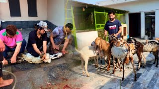 Bakron ki Qurbani kr li hai Allah kabool farmaye Hsn Entertainment Bakra Eid Special Vlog [upl. by Nnayllek570]