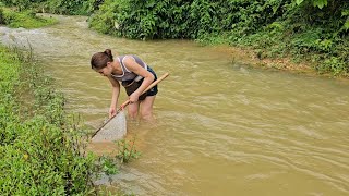 Girl scoops fish with available tools during high water season camping survival forestgirl [upl. by Lipfert]