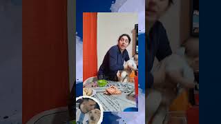 Mejores AMIGOS viralvideo tiktok comedia humor memes argentina messi [upl. by Rinaldo]