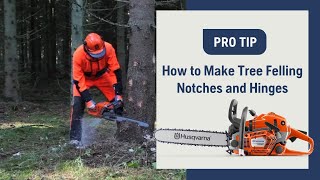 How To Make Tree Felling Notches And Hinges With A Chainsaw  Husqvarna [upl. by Irita]