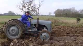 Restored Ferguson TE20 Ploughing a field [upl. by Savart]