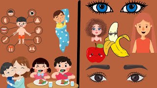 Similarities and Difference Of HumanGrade 1 kapilkidz grade1 science similarities kidschannel [upl. by Scribner441]