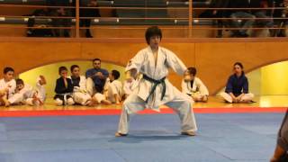 Acher Ikkyoku Nanbudo Kata Jiin karate [upl. by Gaultiero]