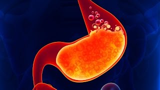 Human Physiology  Regulation of HCl and Pepsinogen Synthesis amp Secretion Gastric Phase [upl. by Cottrell]