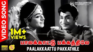 Paalakkaattu Pakkathile HD Video Song  51 Audio  Sivaji Ganesan  Padmini  TMS  P Susheela [upl. by Oisacin409]