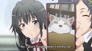 Yuki Yukinoshita really wants to have a cat 🐱  Oregairu Ova 3  My Teen Romantic Comedy Sanfu [upl. by Notnel]