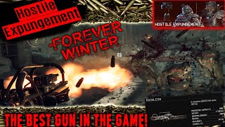 How to get the best gun in Forever Winter Hostile Expungement quest [upl. by Quent]