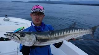 Bait Tackle Store Baia Sportfishing PNG Part 1 [upl. by Adniralc974]