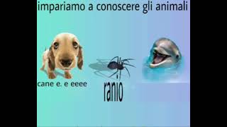 impariamo a conoscere gli animali [upl. by Nalat]