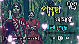 পাখি আমায় ভুইলা গেছে😳🔥 p pakhi amay bule gese Slowed Reverb Bangla Lo fi Song 2024 💯 [upl. by Simonetta]