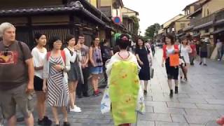 Ep 3 Geishaspotting In search of geisha in the Gion district of Kyoto Japan [upl. by Jeraldine]