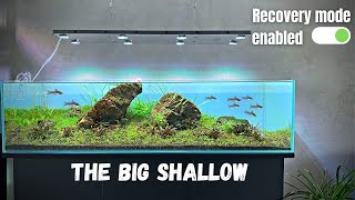 THE BLACKOUT KILLED MY ALGAE 😎 BIG SHALLOW UPDATE  NEW FISH [upl. by Sparkie975]