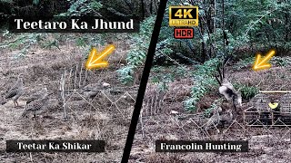 Teetar ka Shikar 💗 Partridge ❣️ Francolin 💞 Teetar Ki Awaaz 👌 Hunting 💕 Wildlife 🕊️ Ep30 [upl. by Ronaele143]