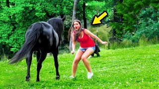 This Video Shocked The Whole World Just Watch What The Girl Did With The Stallion [upl. by Cenac82]