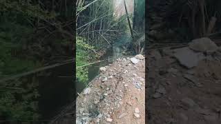 12ft Tall Retaining Wall Fail [upl. by Kisung760]