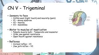 Examination of the cranial nerves [upl. by Htezzil]