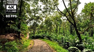 4K  UHD  🔥 Scenic Drive Idukki 🔥 Rajakkad Town 🔥 Village Roads Kerala India 🔥 60 FPS [upl. by Jemima]