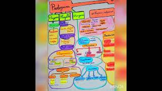 Classification des parasites [upl. by Ahsienel34]