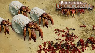 BATTLE ON THE BEACHES  Empires of the Undergrowth BETA Gameplay  Ep4 [upl. by Hairem9]