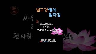 법구경에서 말하길ㅣ인생명언ㅣ삶의지혜ㅣ인생ㅣ마인드셋ㅣ명언 읽어주는 남자ㅣQuotes Collectㅣ법구경 [upl. by Shane]