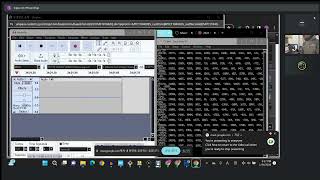 STM32MEMSMIC teraTerm [upl. by Gensler]