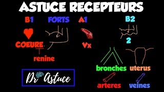 🔴 Dr Astuce  UNE ASTUCE GÉNIALE POUR LES RECEPTEURS ADRENERGIQUES [upl. by Erida293]