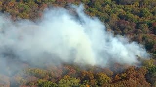 Brush fire burning in Van Cortland Park near Major Deegan Expressway in the Bronx [upl. by Nailuj]