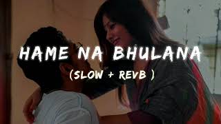 Hame na bhulana sajan hume na bhulana slow  revb lofi song [upl. by Haizek]