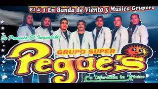 XOCHIPITZAHUATL CON BANDA Grupo Super Pegues [upl. by Naik]