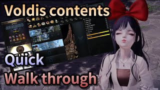 Lost Ark All Voldis contents quick walk through [upl. by Valaria]