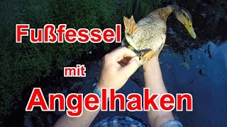 Fußfessel mit Angelhaken  Tiernotruf 53 [upl. by Atiuqam]