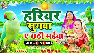 LIVE छठ पूजा गीत 2024  हरियर हरियर सुगवा ए दीनानाथ  Anita Lok Geet  Pramparik Chhath Puja Geet [upl. by Jezrdna415]