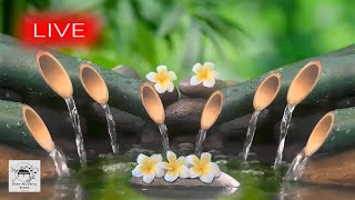 🔴 Spa Music 247 Stress Relief Music Relaxation Music Massage Music Sleep Music Waterfall [upl. by Adaynek]