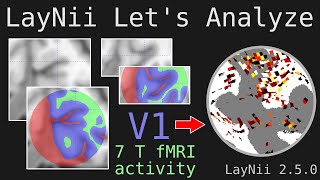 Lets Analyze E002  LayNii layers and flattening fMRI activity in V1 [upl. by Udale]