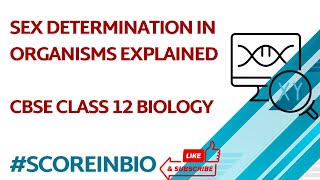 Sex Determination in Organisms Explained  CBSE Class 12 Biology [upl. by Demitria]