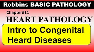 Chp11 Robbins Patho  Heart Pathology  Introduction to Congenital Heart Diseases [upl. by Helms]