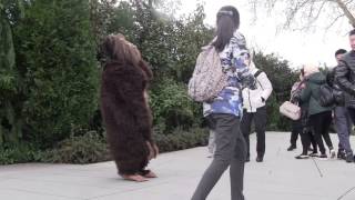 Sasquatch scare prank Big foot scare prank [upl. by Hook75]