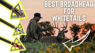 Best Broadhead Choice for Bowhunting Whitetails Afflictor Broadheads [upl. by Yelra]