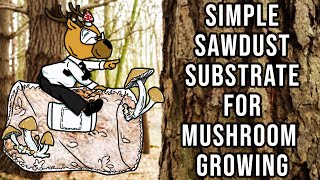 Simple Sawdust Substrate for Gourmet Mushroom Growing [upl. by Ahsenwahs]