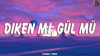 EYPİO amp SİBEL CAN  DİKEN Mİ GÜL MÜ  LYRİCS  SÖZLERİ [upl. by Jen]