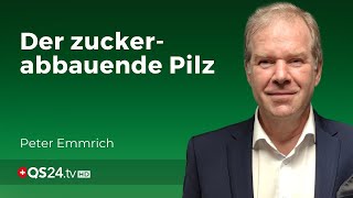 Coprinus Der Pilz der sogar bei Diabetes hilft  Facharzt Peter Emmrich  Naturmedizin  QS24 [upl. by Nissa]